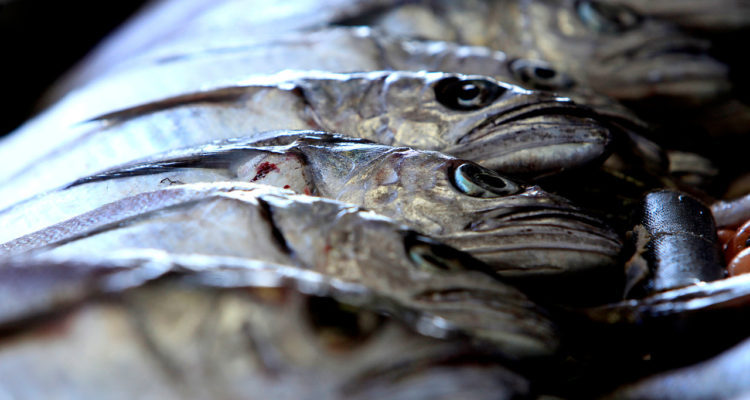 CONTEXTO | Agencia UNO