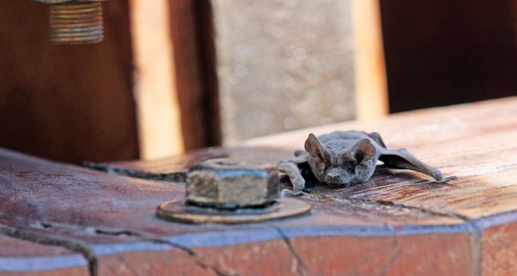 CONTEXTO | Agencia UNO
