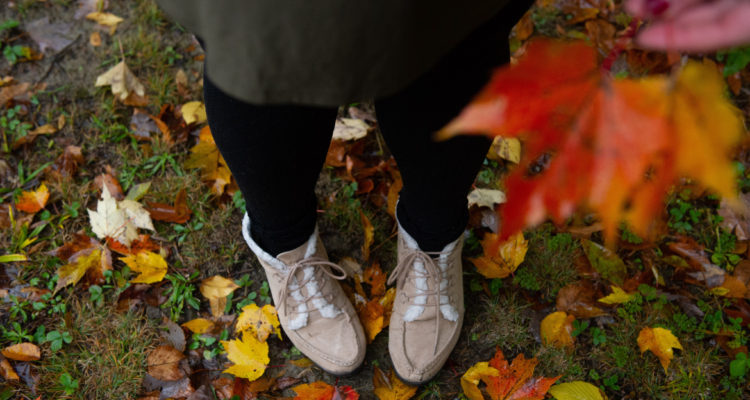 Cori Rodriguez | Pexels (CCO)