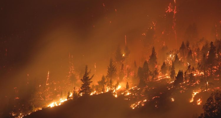 Twitter | @gabiestevezok