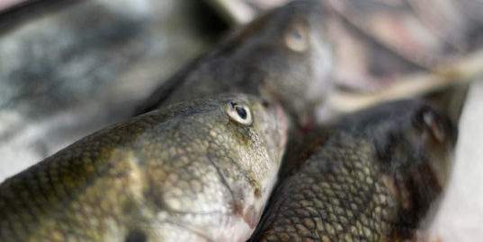  ARCHIVO| Agencia UNO