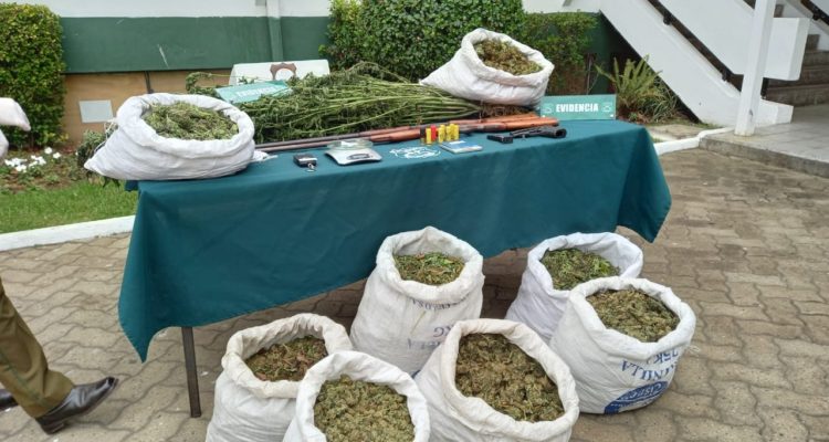 Camila Olguín (RBB)