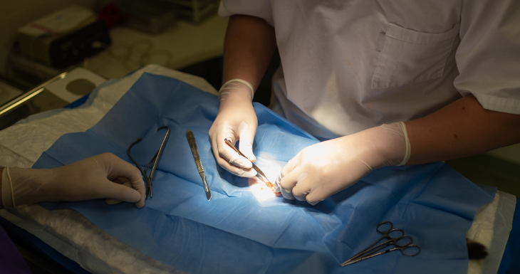 CONTEXTO | Max Pixel