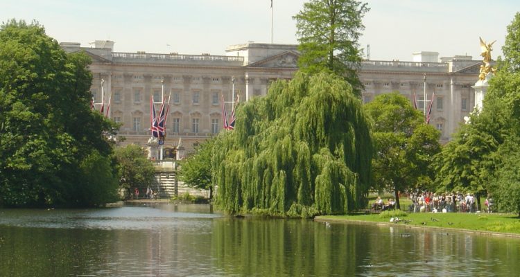 Drdevience | Pixabay