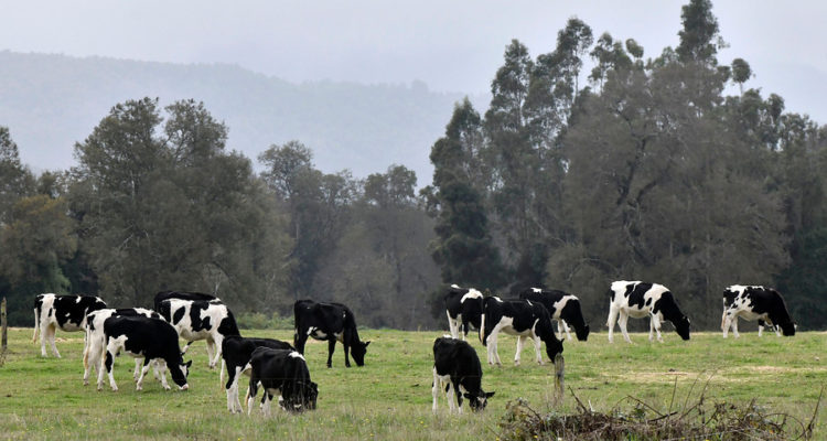 CONTEXTO  | Agencia UNO