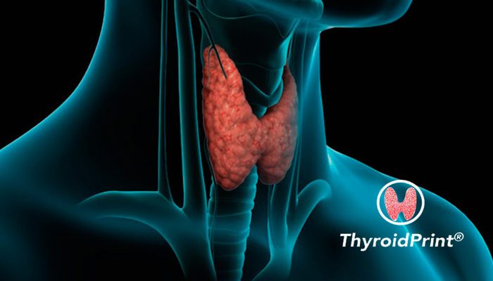 Contexto | Pontificia Universidad de Chile