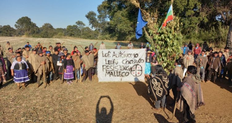 comunidadtemucuicui.blogspot.com/