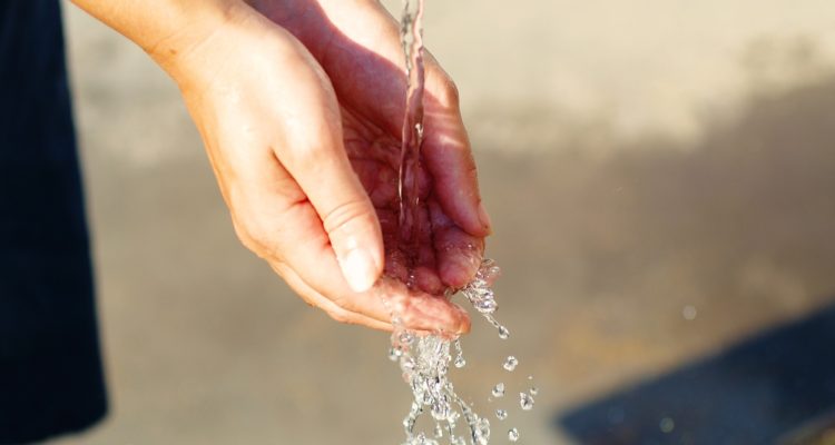 Tibor Janosi Mozes | Pixabay 