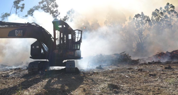 Cedida | Intendencia de Los Ríos