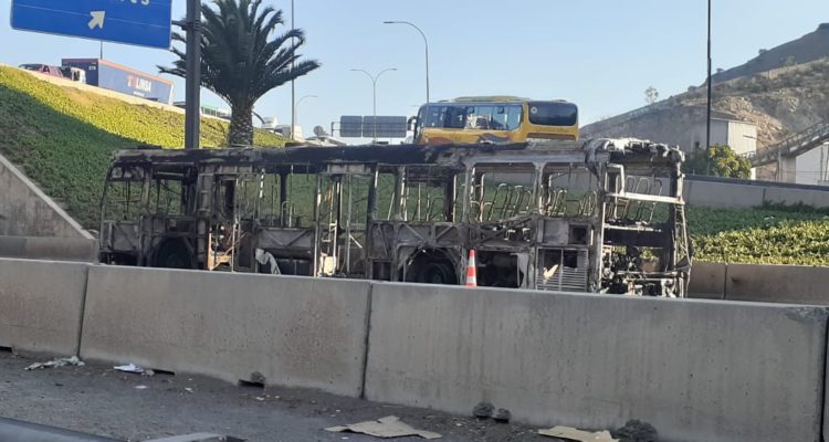 Beatriz Vallejos | RBB