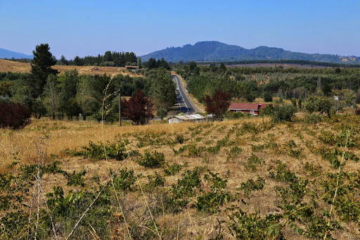 Contexto | Chilesustentable