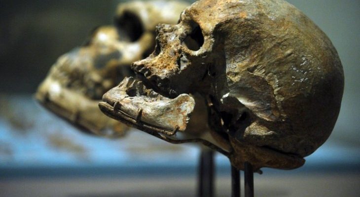 Imagen de CONTEXTO | AFP