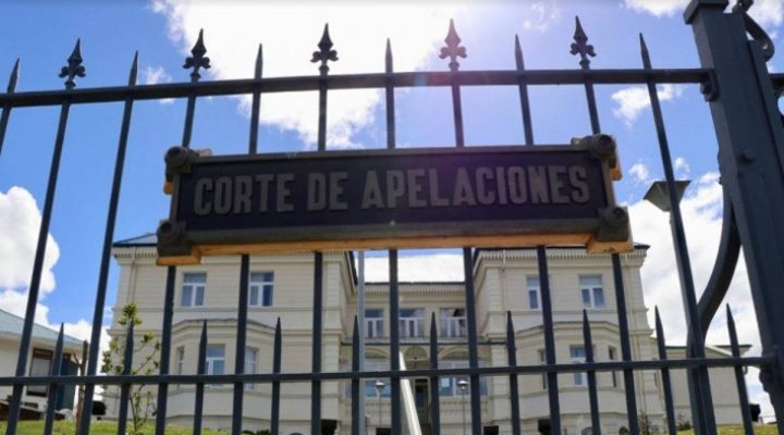 CONTEXTO | Diario El Pingüino