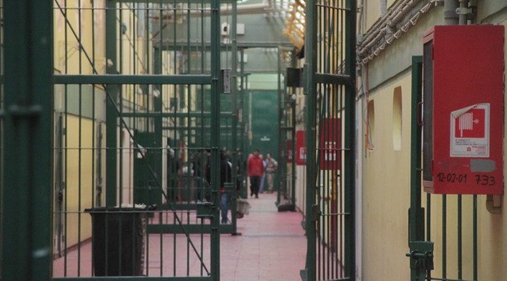 CONTEXTO | Diario El Pingüino