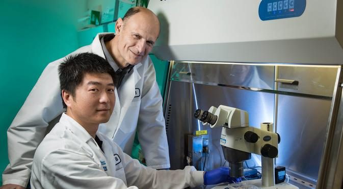 Los investigadores Juan Carlos Izpisua Belmonte y Jun Wu | US Salk Institute | DW