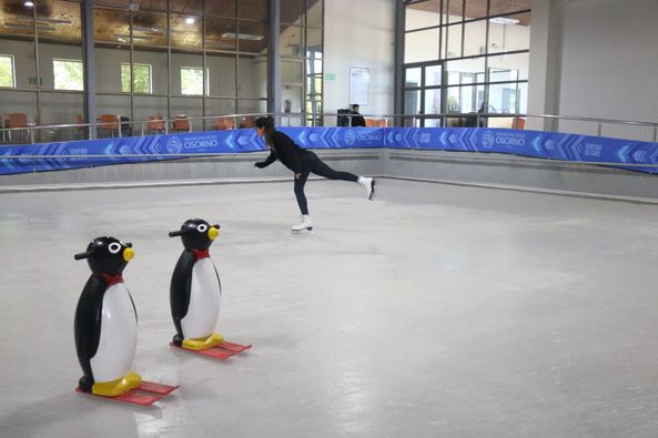 Pista de patinaje en hielo: los detalles del millonario proyecto que no prosperó en Osorno