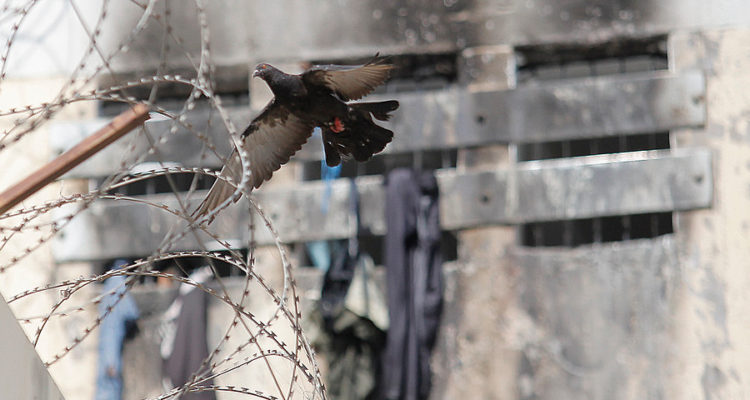 ARCHIVO | Pedro Cerda | Agencia UNO