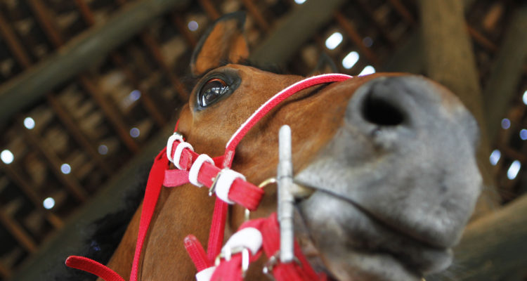 Contexto |  Agencia UNO 