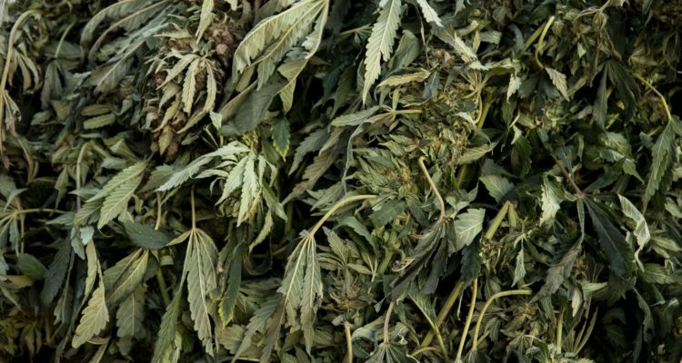 CONTEXTO | Miguel Moya | Agencia UNO