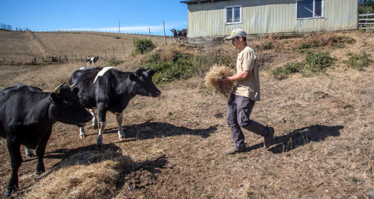 Contexto | Agencia UNO