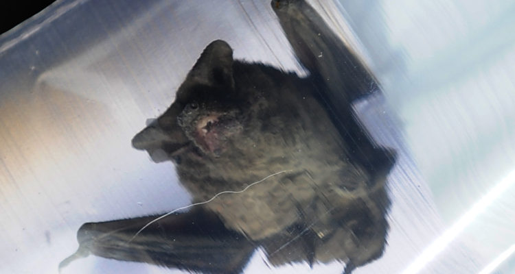 CONTEXTO | Pablo Ovalle | Agencia UNO