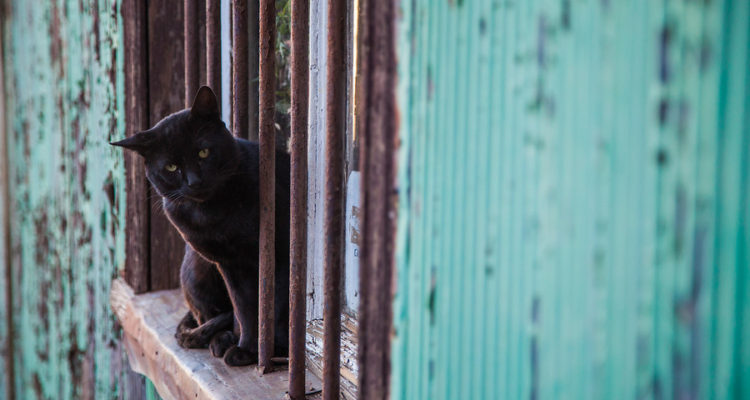 ARCHIVO | David Cortes | Agencia UNO