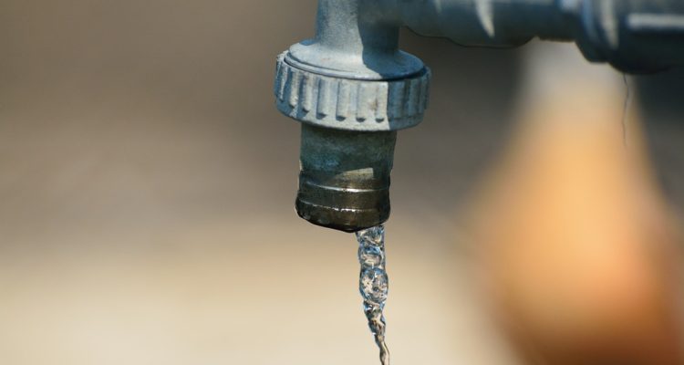 CONTEXTO | Max Pixel
