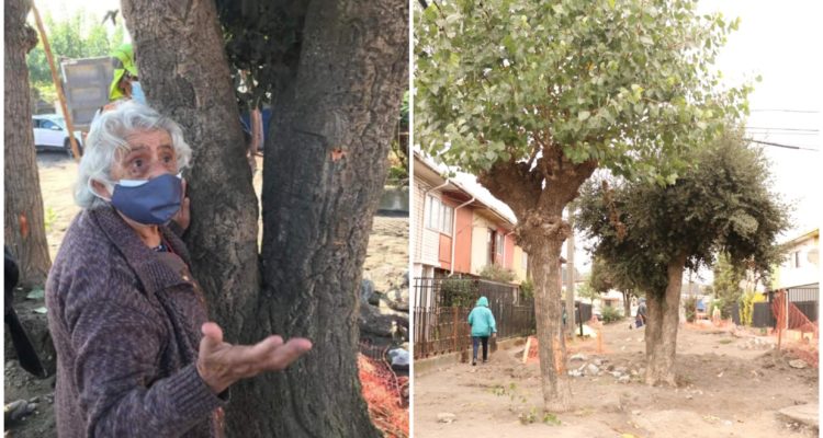 Renaciendo Talcahuano – Municipalidad de Talcahuano
