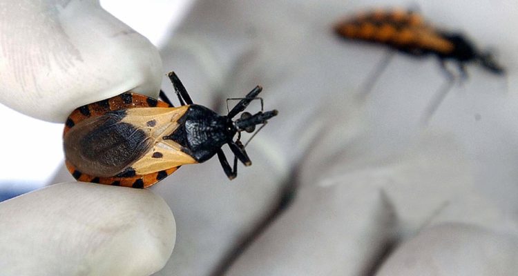 Elmer Martinez | AFP 