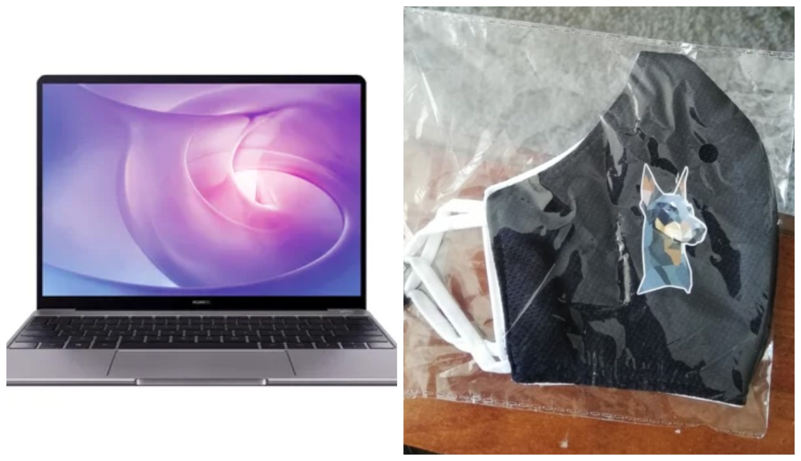 Falabella – Cedida a BioBioChile