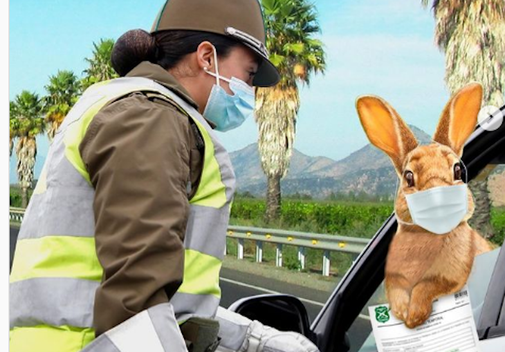 Carabineros de Chile | Instagram 