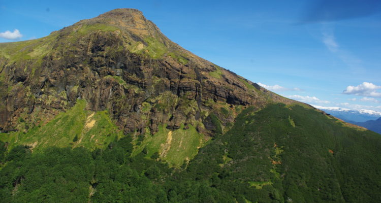 Mate Grande | U. de Chile