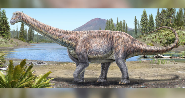 Representación del Arackar licanantay | MNHN
