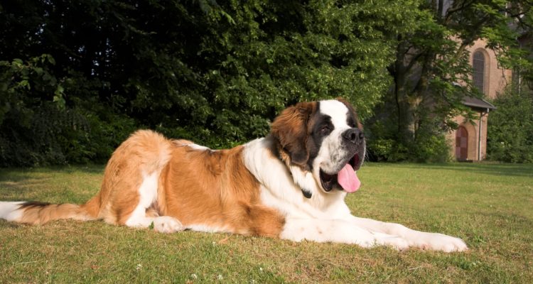 CONTEXTO |  pxhere.com