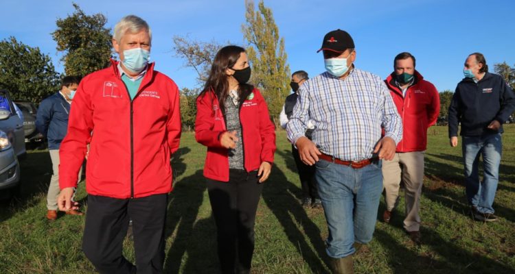 Twitter @meryundurraga
