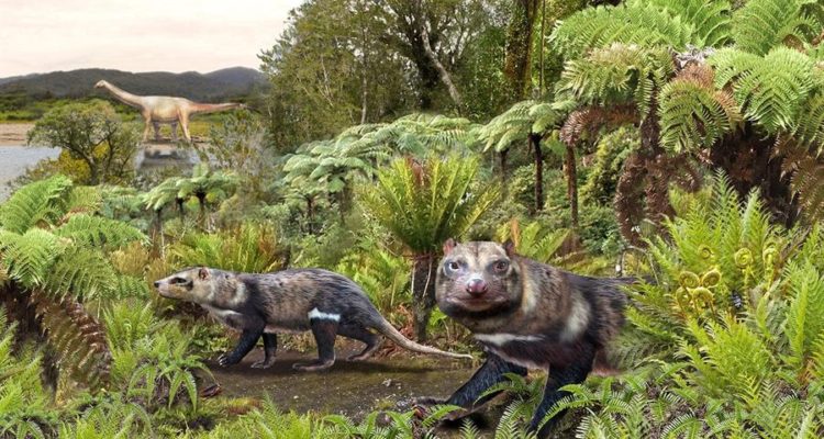 EFE | Universidad de Chile