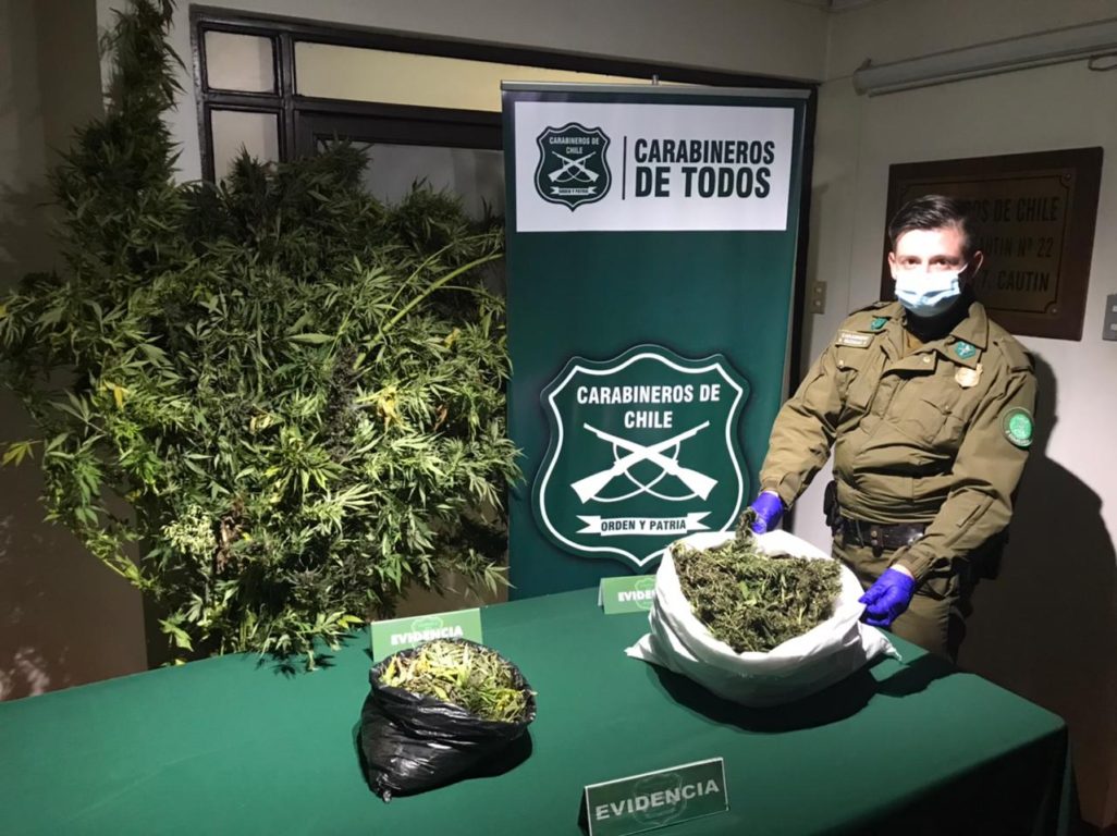11 kilos de droga incautados en La Araucanía
