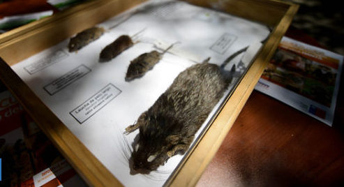 CONTEXTO | Agencia UNO