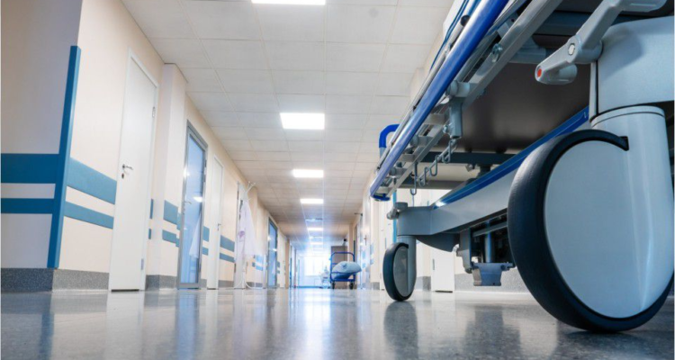 Imagen referencial | Pixabay (CCO)