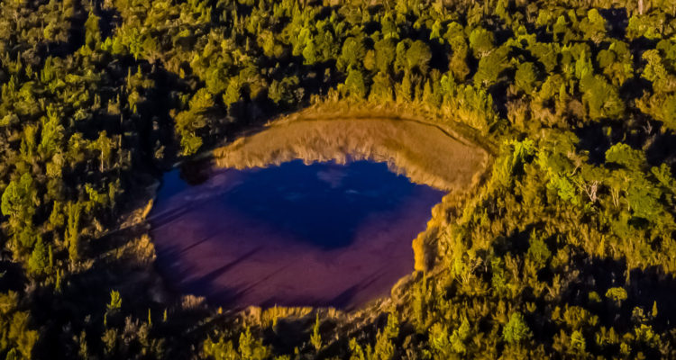 CONTEXTO | Agencia UNO