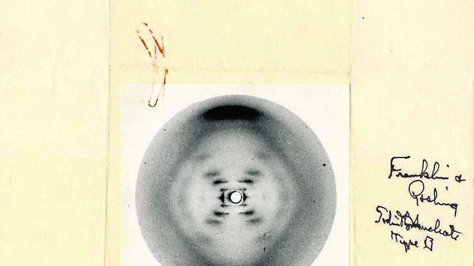 La enigmática Fotografía 51