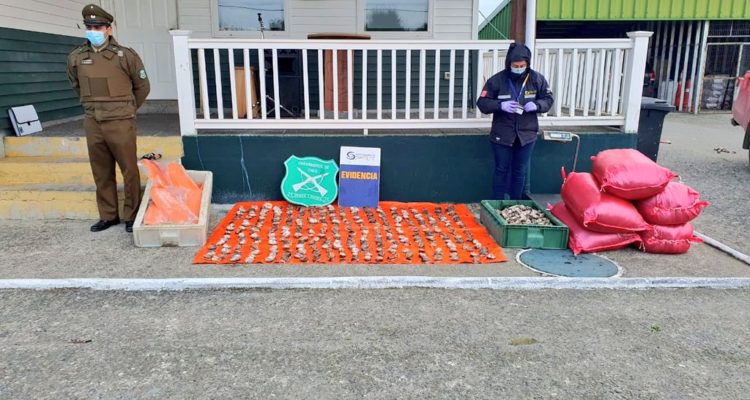 @sernapesca | Twitter
