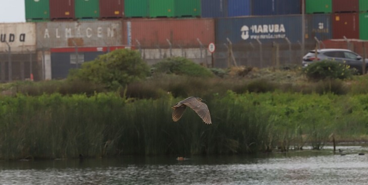 Juan Arnoldo Oregón | Agencia UNO