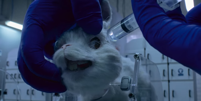 ONG Humane Society International 