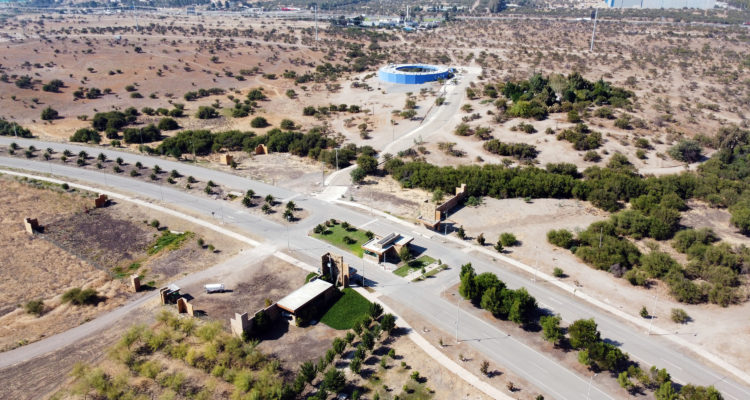 Universidad de Chile