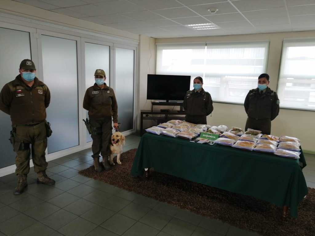 Envueltos en café, ají y manjar: incautan más de 9 kilos de droga en dos operativos en Osorno