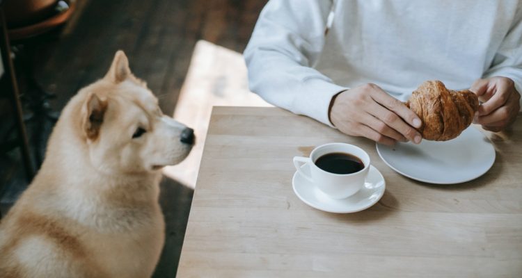 Zen Chung | Pexels (CCO)