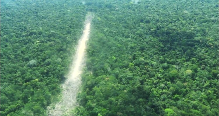 Pistas de aterrizaje clandestinas en Ucayali | Foto: GERFFS. 