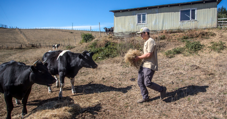 ARCHIVO | Agencia UNO