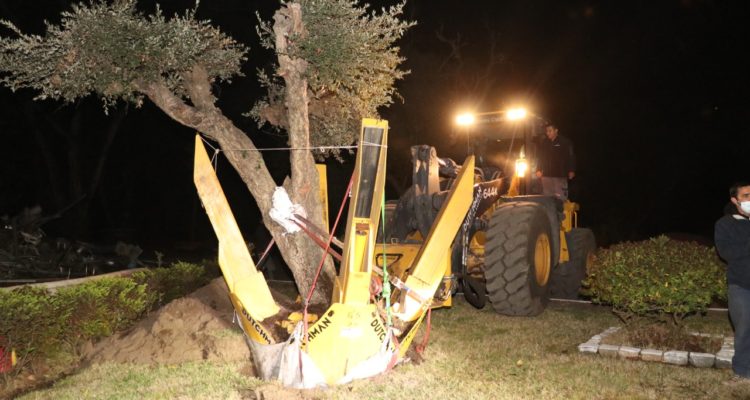 Municipalidad de Talcahuano